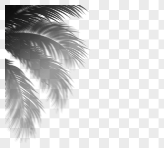 棕榈叶创意感手绘光影图片