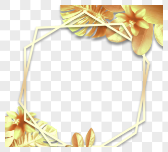 金色几何装饰植物边框图片
