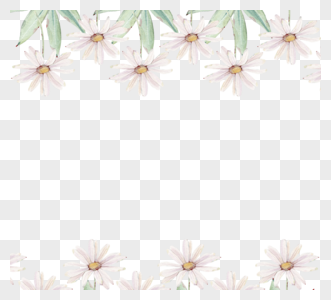 白色雏菊新鲜边框元素高清图片
