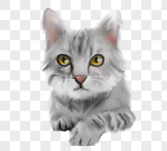 灰色猫咪可爱灵巧猫咪元素图片