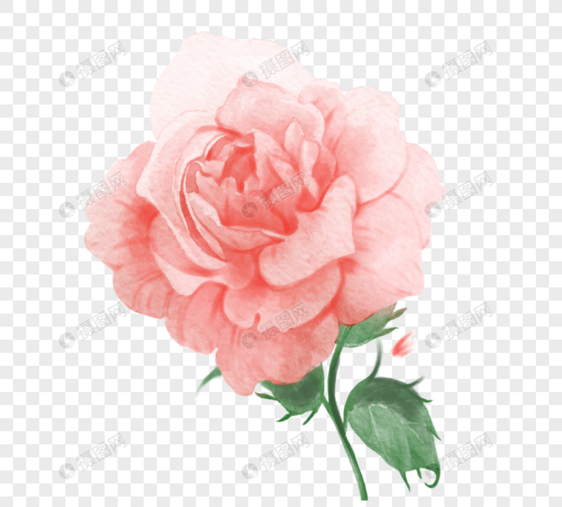 粉红色花元素图片