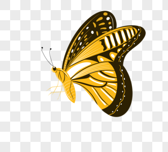 黄色花纹蝴蝶元素图片
