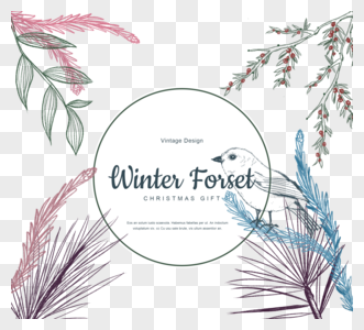 手绘冬季森林圣诞节传统植物插图图片
