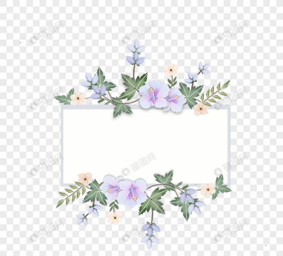 手绘紫色木槿花簇边框图片