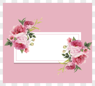 粉红玫瑰白框装饰元素图片
