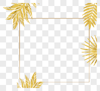 金色热带植物精致几何边框图片