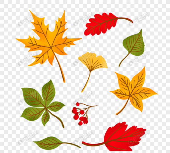 手绘秋季落叶组图图片