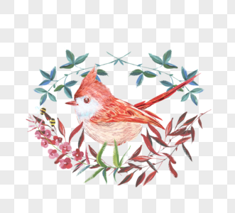 红色鸟叶子元素水彩手绘图片