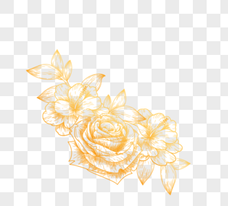 手绘金色线条花卉图片