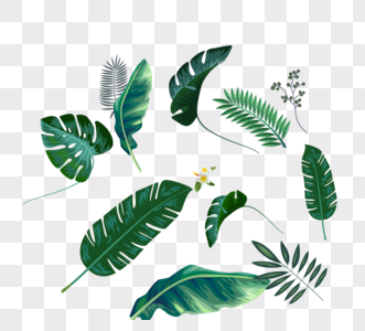 绿色小清新树叶植物元素图片