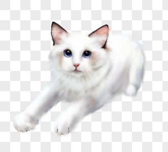 白猫手绘元素图片