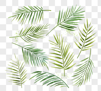 绿色水彩棕榈叶元素图片