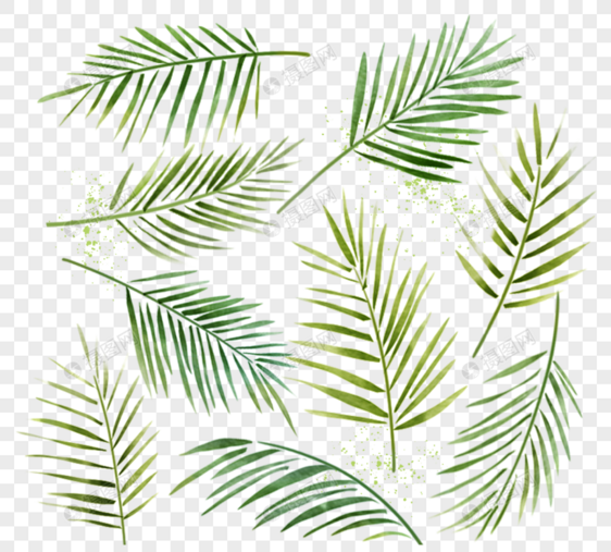绿色水彩棕榈叶元素图片