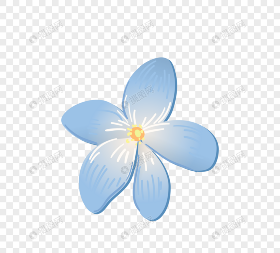 精致清新蓝色花朵图片