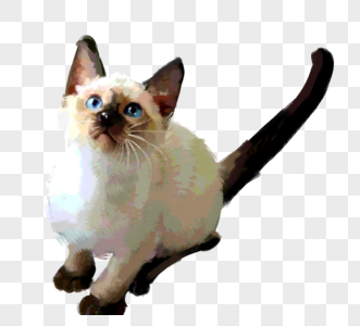 暹罗猫抬头猫咪宠物可爱元素图片