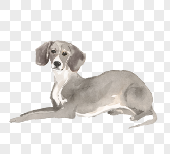 灰色水彩宠物狗元素图片