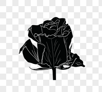 黑色玫瑰元素图片