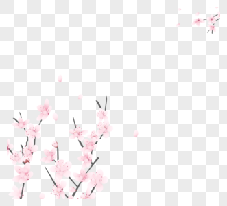 粉红色白鲱鱼浪漫樱桃花瓣手褪色框架图片
