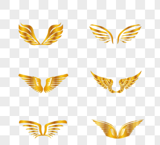 金色质感翅膀组图图片