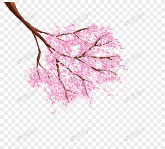 与花传染媒介例证樱花树图片