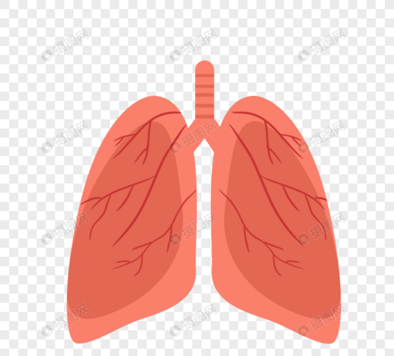 人体器官肺红色肺卡通图片