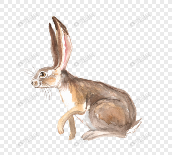 长耳朵兔子卡通手绘元素图片