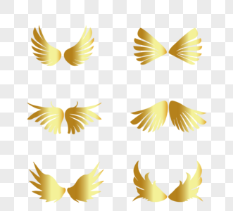 金色质感翅膀图案组图图片