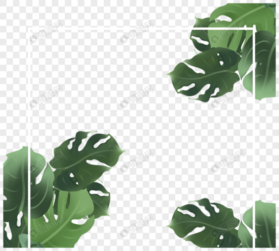 绿色热带植物方形边框图片