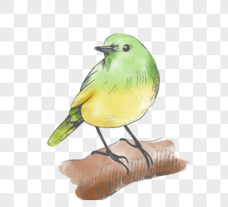 黄色绿色小鸟手绘元素图片