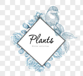 线条植物素描边框图片