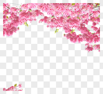 粉红花束图片
