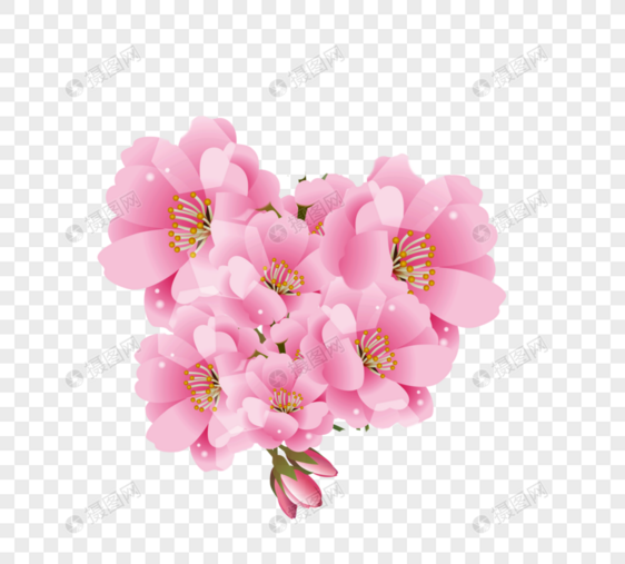 粉红色春季植物日系唯美半透明手绘樱花花卉图片