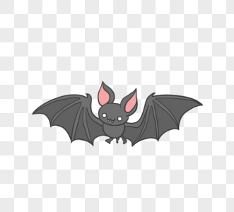 灰色飞翔蝙蝠图片