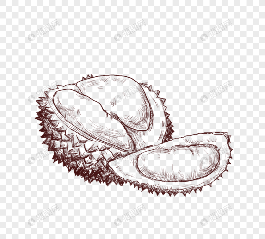 季节性水果榴莲线描