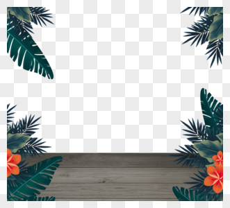 夏季热带植物叶片花朵边框图片