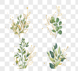 手绘绿色金枝叶子植物图片