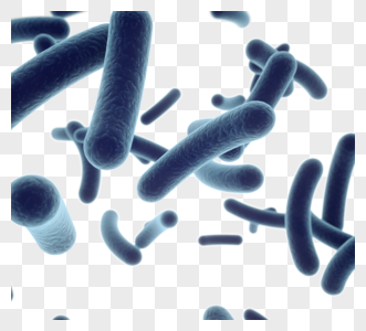 微生物图片 微生物素材 微生物高清图片 摄图网图片下载 微生物图片 微生物素材 微生物高清图片 摄图网图片下载