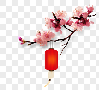 粉色花朵树枝灯笼元素图片