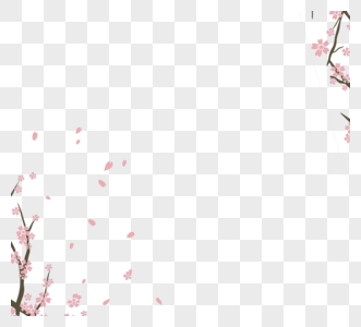 桃红色瓣樱桃花分支蛋医学框架图片