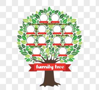 手绘绿色家族树家庭关系家谱大树图片