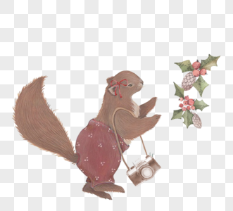 松鼠相机植物圣诞节卡通手绘元素图片