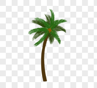 绿色棕榈树元素插图图片