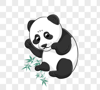 竹叶可爱手绘黑白熊猫图片