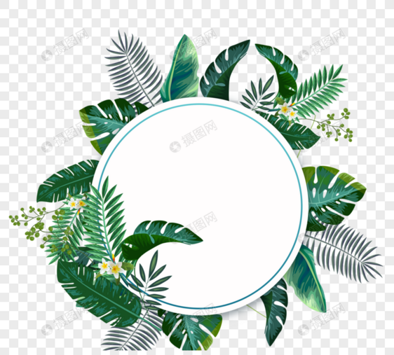 绿色复合热带植物图片