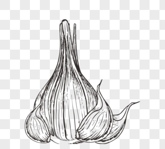 黑色手绘素描蔬菜洋葱大蒜元素高清图片