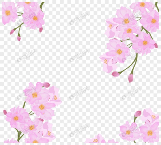 桃红色手画樱桃树框架图片