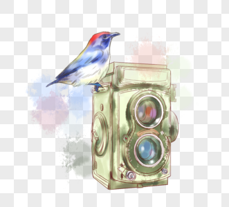 水彩彩色鸟相机元素图片
