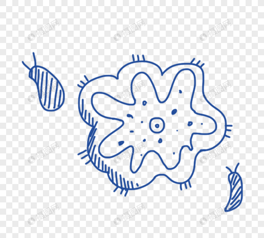 手绘蓝色线描生物学细胞元素