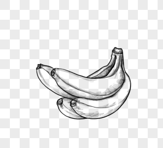 香蕉线描植物水果图片