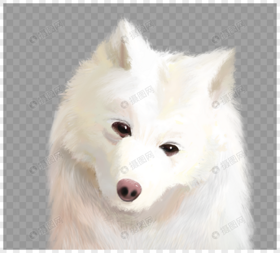 白色狗狗头像元素图片